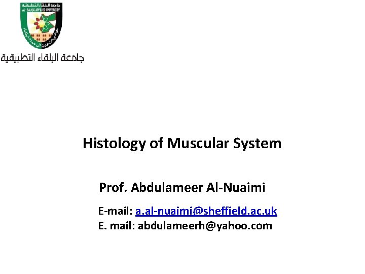 Histology of Muscular System Prof. Abdulameer Al-Nuaimi E-mail: a. al-nuaimi@sheffield. ac. uk E. mail: