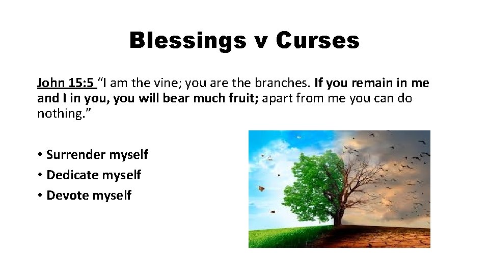 Blessings v Curses John 15: 5 “I am the vine; you are the branches.