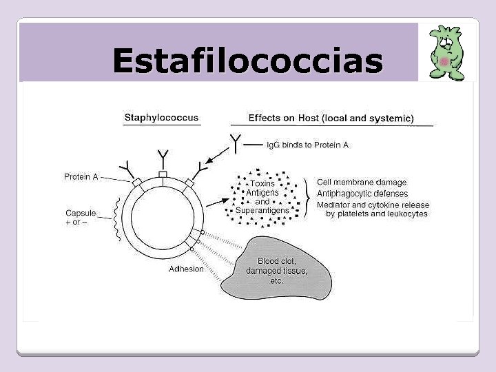 Estafilococcias 