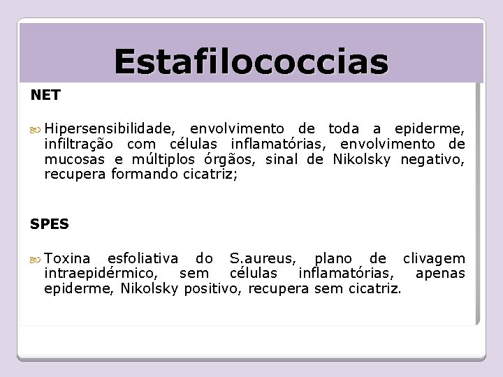 Estafilococcias NET Hipersensibilidade, envolvimento de toda a epiderme, infiltração com células inflamatórias, envolvimento de