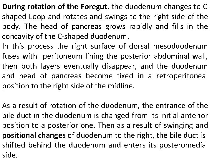 During rotation of the Foregut, the duodenum changes to Cshaped Loop and rotates and