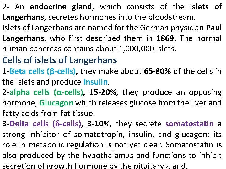 2 - An endocrine gland, which consists of the islets of Langerhans, secretes hormones