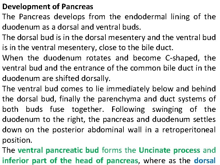 Development of Pancreas The Pancreas develops from the endodermal lining of the duodenum as