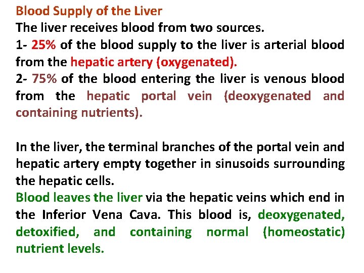 Blood Supply of the Liver The liver receives blood from two sources. 1 -