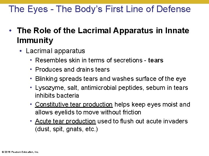 The Eyes - The Body’s First Line of Defense • The Role of the