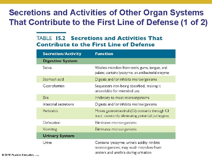 Secretions and Activities of Other Organ Systems That Contribute to the First Line of