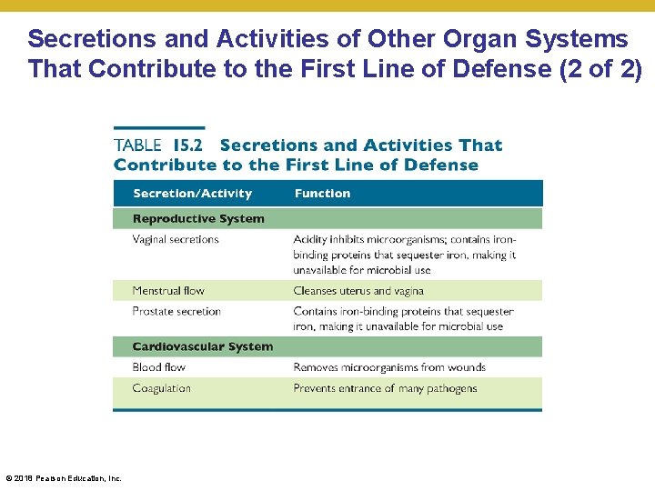 Secretions and Activities of Other Organ Systems That Contribute to the First Line of