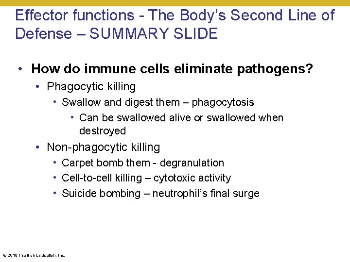 Effector functions - The Body’s Second Line of Defense – SUMMARY SLIDE • How