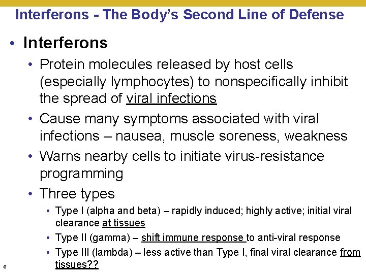Interferons - The Body’s Second Line of Defense • Interferons • Protein molecules released