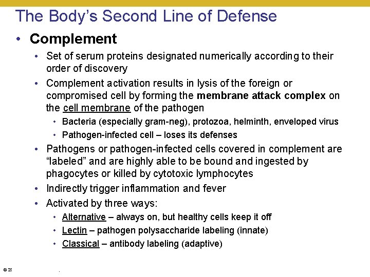 The Body’s Second Line of Defense • Complement • Set of serum proteins designated