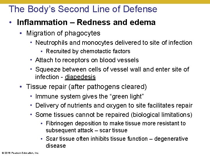 The Body’s Second Line of Defense • Inflammation – Redness and edema • Migration