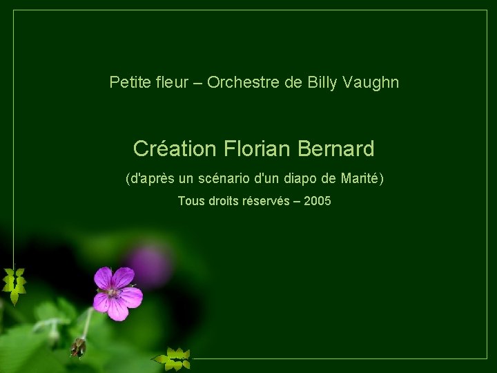 Petite fleur – Orchestre de Billy Vaughn Création Florian Bernard (d'après un scénario d'un