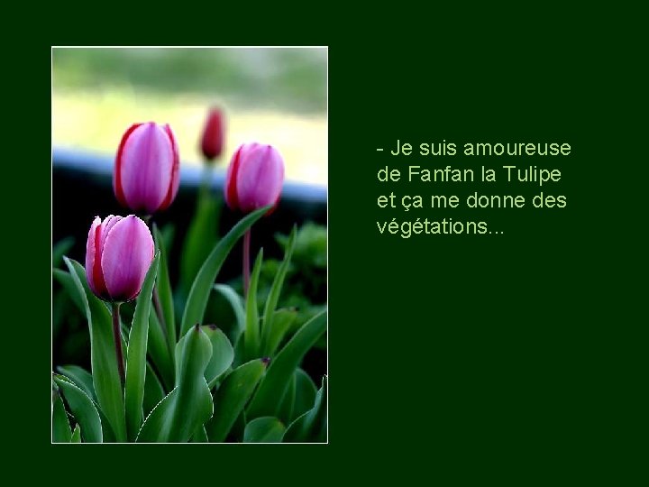 - Je suis amoureuse de Fanfan la Tulipe et ça me donne des végétations.