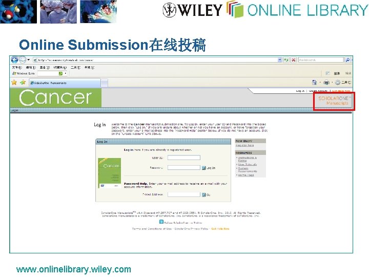 Online Submission在线投稿 www. onlinelibrary. wiley. com 