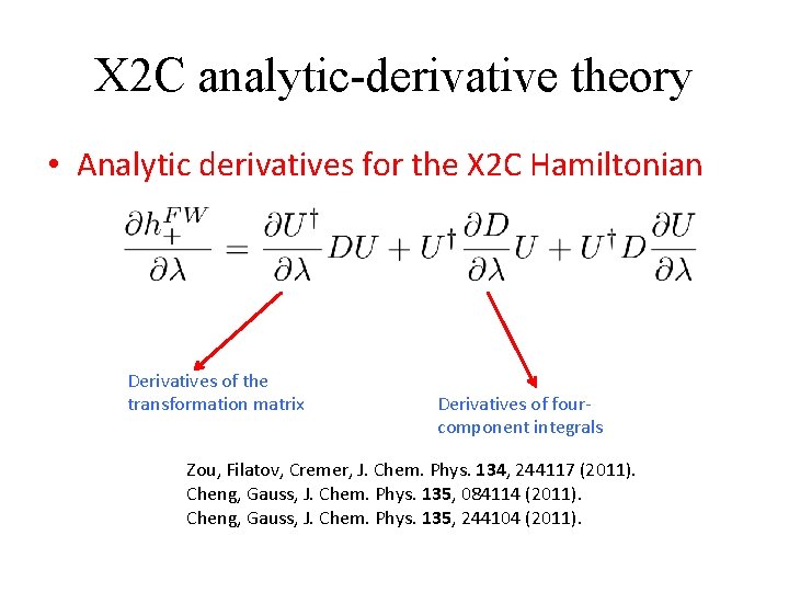 X 2 C analytic-derivative theory • Analytic derivatives for the X 2 C Hamiltonian