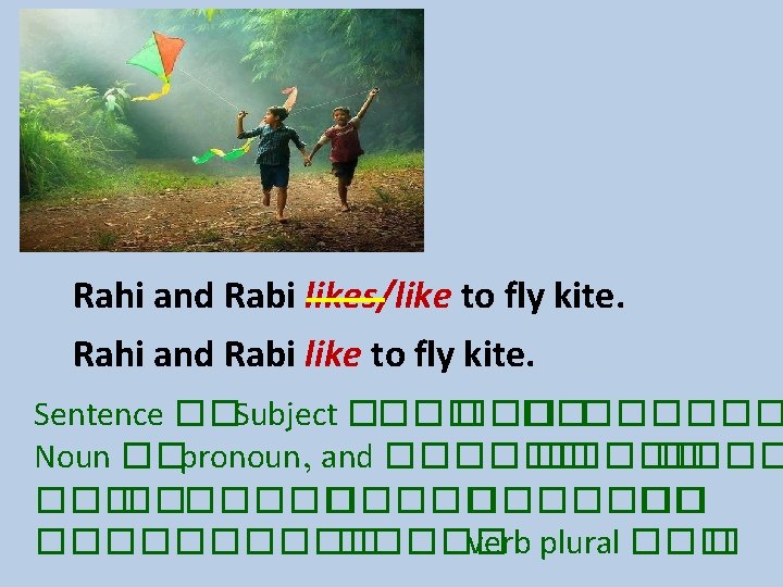 Rahi and Rabi likes/like to fly kite. Rahi and Rabi like to fly kite.