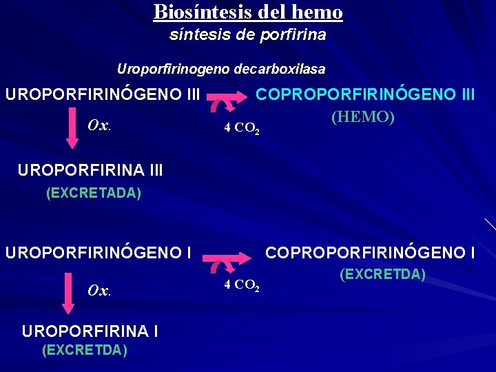 Biosíntesis del hemo síntesis de porfirina Uroporfirinogeno decarboxilasa UROPORFIRINÓGENO III Ox. COPROPORFIRINÓGENO III (HEMO)