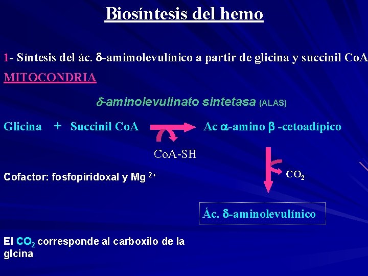 Biosíntesis del hemo 1 - Síntesis del ác. -amimolevulínico a partir de glicina y