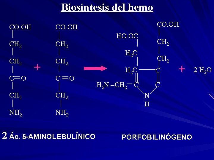 Biosíntesis del hemo CO. OH HO. OC CH 2 C O + C CH