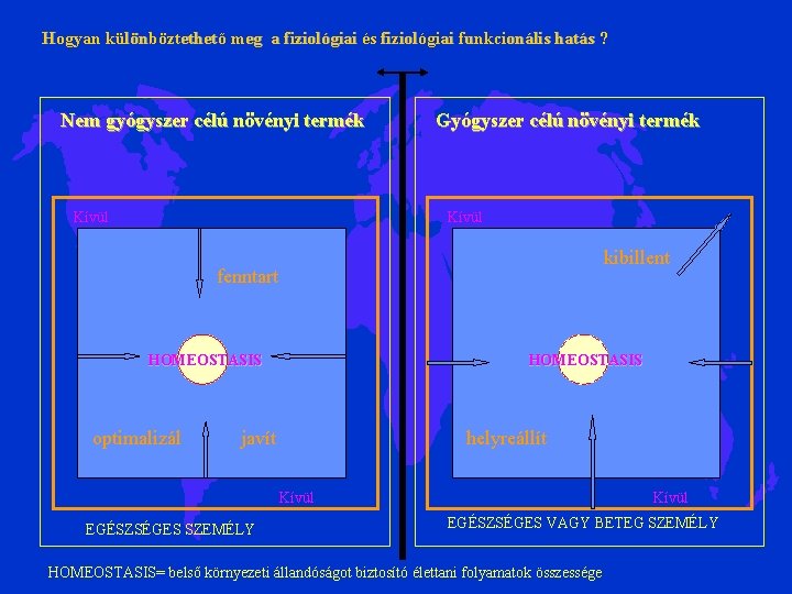 Hogyan különböztethető meg a fiziológiai és fiziológiai funkcionális hatás ? Nem gyógyszer célú növényi Hogyan különböztethető meg a fiziológiai és fiziológiai funkcionális hatás ? Nem gyógyszer célú növényi