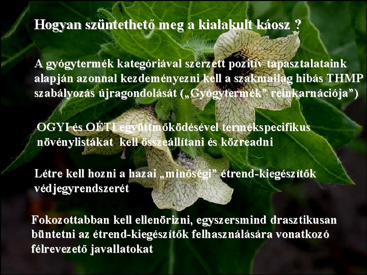 Hogyan szüntethető meg a kialakult káosz ? A gyógytermék kategóriával szerzett pozitív tapasztalataink alapján Hogyan szüntethető meg a kialakult káosz ? A gyógytermék kategóriával szerzett pozitív tapasztalataink alapján