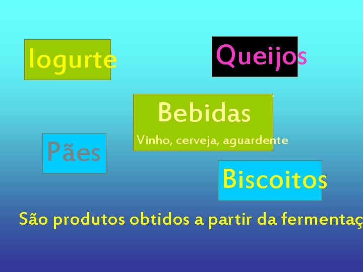 Iogurte Queijos Bebidas Pães Vinho, cerveja, aguardente Biscoitos São produtos obtidos a partir da