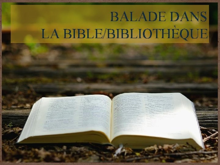 BALADE DANS LA BIBLE/BIBLIOTHÈQUE 
