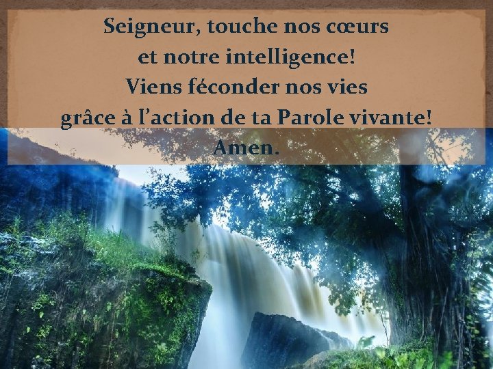 Seigneur, touche nos cœurs et notre intelligence! Viens féconder nos vies grâce à l’action