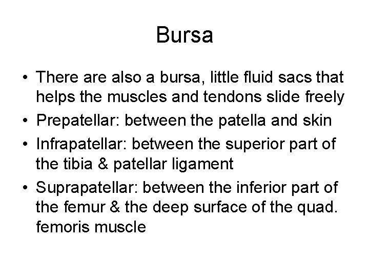 Bursa • There also a bursa, little fluid sacs that helps the muscles and