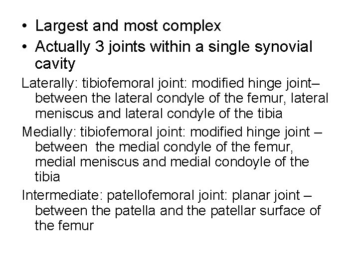  • Largest and most complex • Actually 3 joints within a single synovial