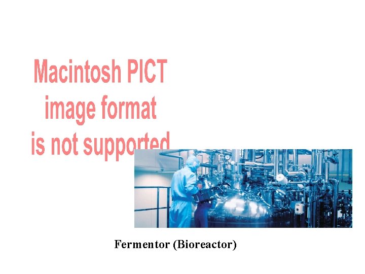 Fermentor (Bioreactor) 
