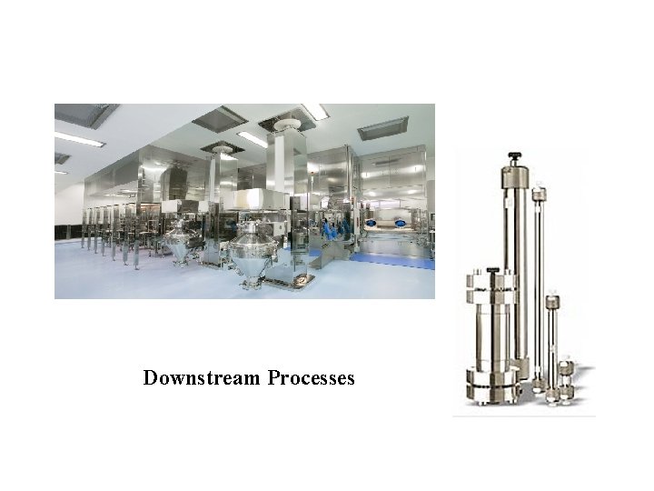 Downstream Processes 