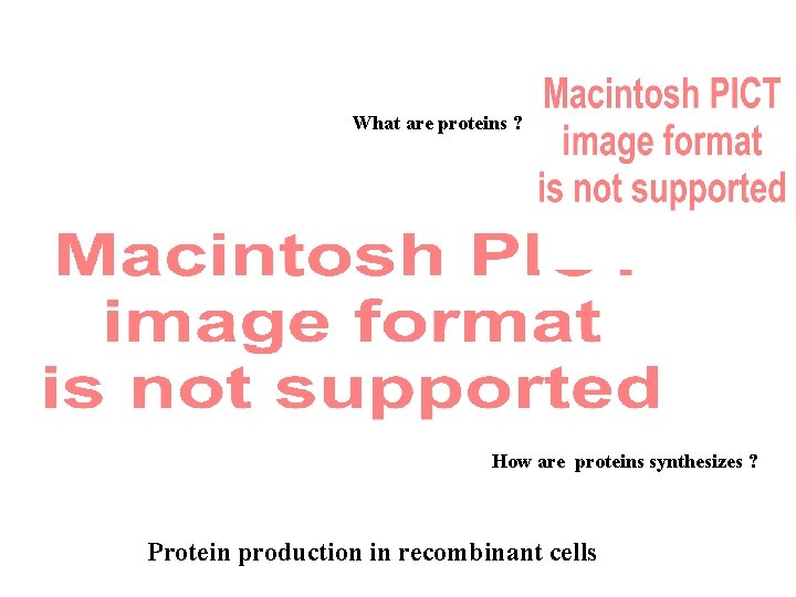 What are proteins ? How are proteins synthesizes ? Protein production in recombinant cells