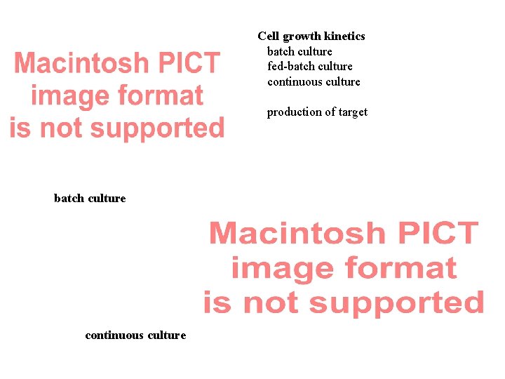 Cell growth kinetics batch culture fed-batch culture continuous culture production of target batch culture