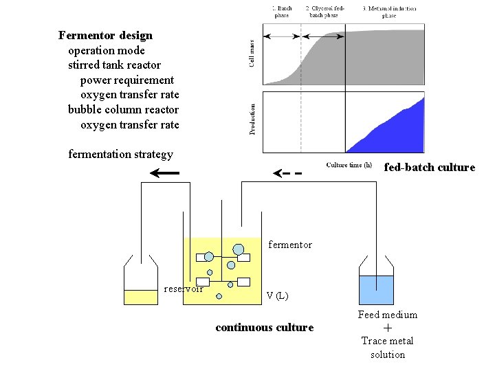 Fermentor design operation mode stirred tank reactor power requirement oxygen transfer rate bubble column