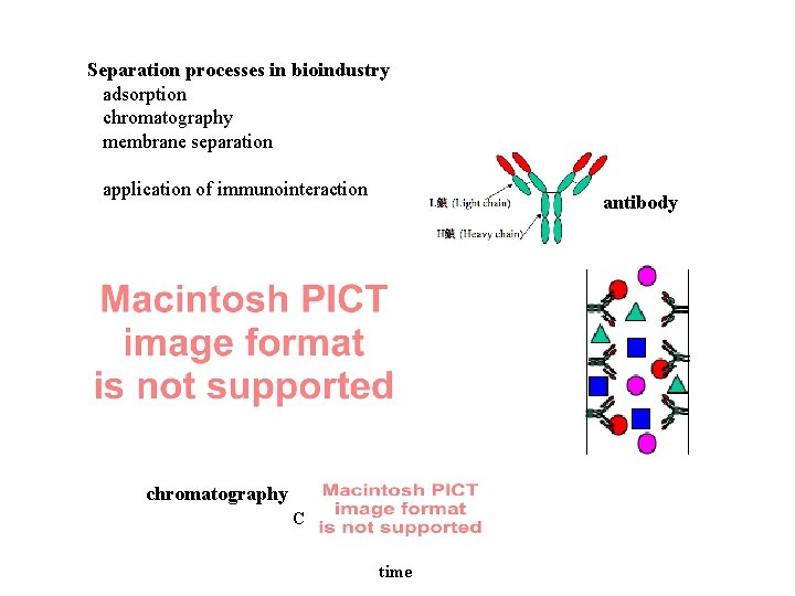 Separation processes in bioindustry adsorption chromatography membrane separation application of immunointeraction antibody chromatography C