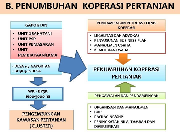 B. PENUMBUHAN KOPERASI PERTANIAN PENDAMPINGAN PETUGAS TEKNIS KOPERASI GAPOKTAN • • UNIT USAHATANI UNIT