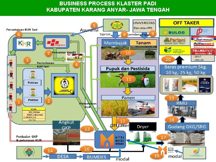 BUSINESS PROCESS KLASTER PADI KABUPATEN KARANG ANYAR- JAWA TENGAH 
