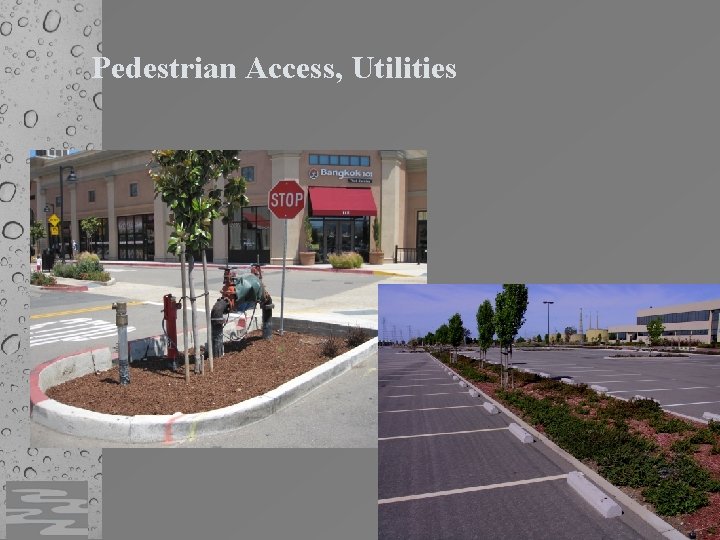 Pedestrian Access, Utilities 