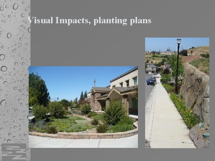 Visual Impacts, planting plans 