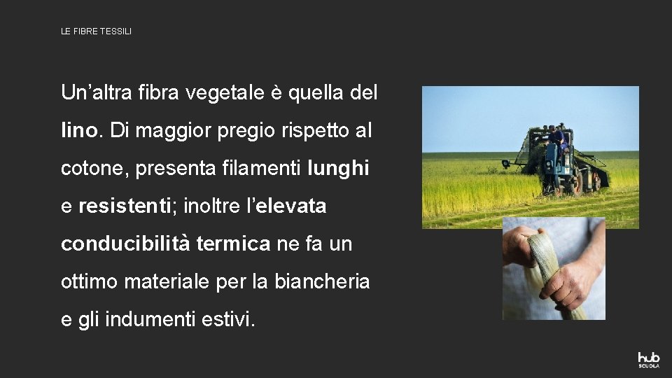 LE FIBRE TESSILI Un’altra fibra vegetale è quella del lino. Di maggior pregio rispetto