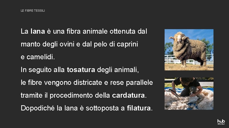 LE FIBRE TESSILI La lana è una fibra animale ottenuta dal manto degli ovini