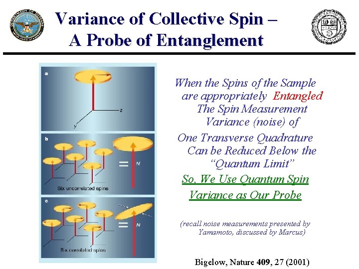 Variance of Collective Spin – A Probe of Entanglement When the Spins of the