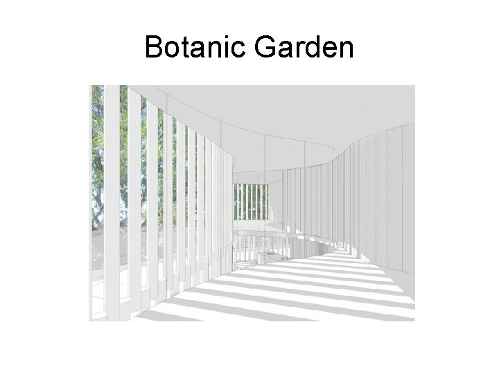 Botanic Garden 