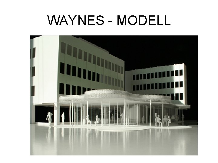 WAYNES - MODELL 