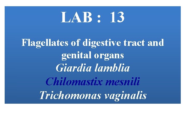 LAB : 13 Flagellates of digestive tract and genital organs Giardia lamblia Chilomastix mesnili