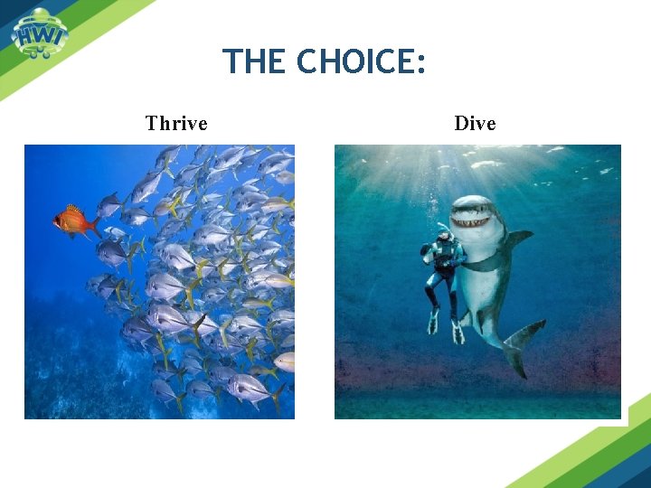 THE CHOICE: Thrive Dive 