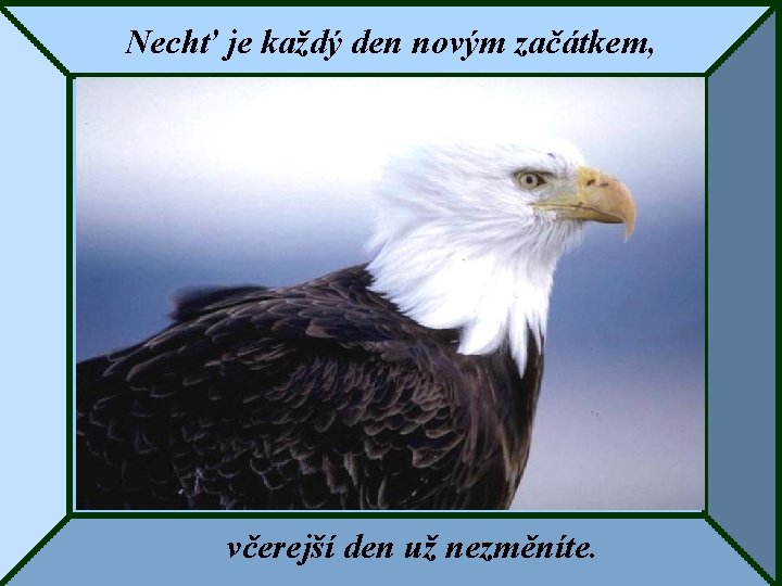 Nechť je každý den novým začátkem, včerejší den už nezměníte. 