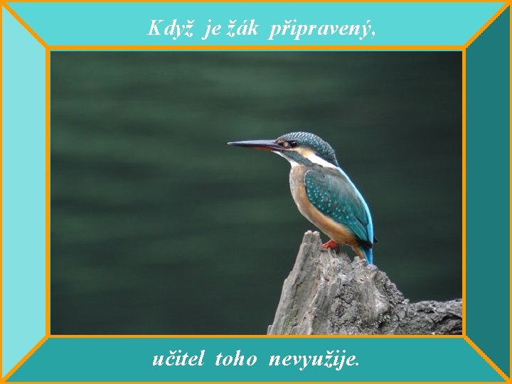 Když je žák připravený, učitel toho nevyužije. 