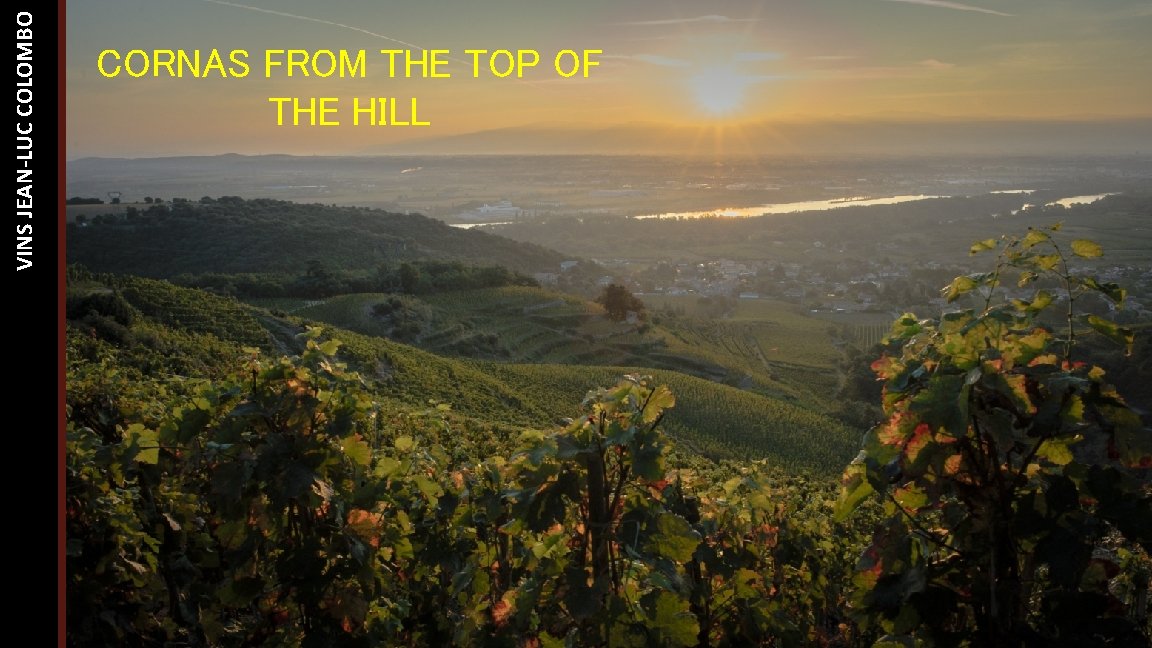 VINS JEAN-LUC COLOMBO CORNAS FROM THE TOP OF THE HILL 